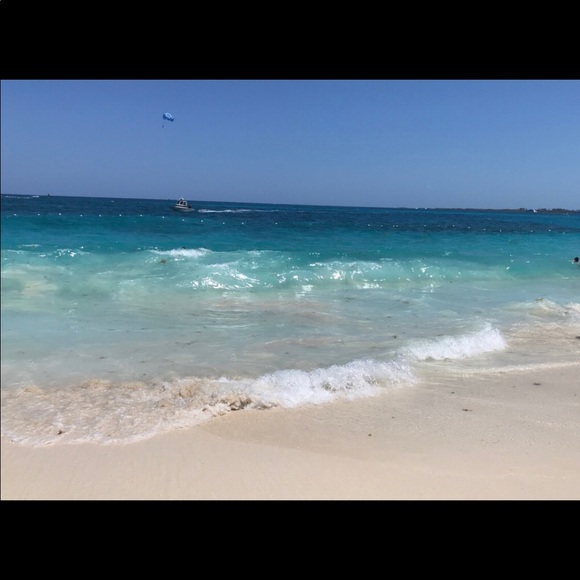 Meet your Posher, Darlynn - Picture 1 of 1